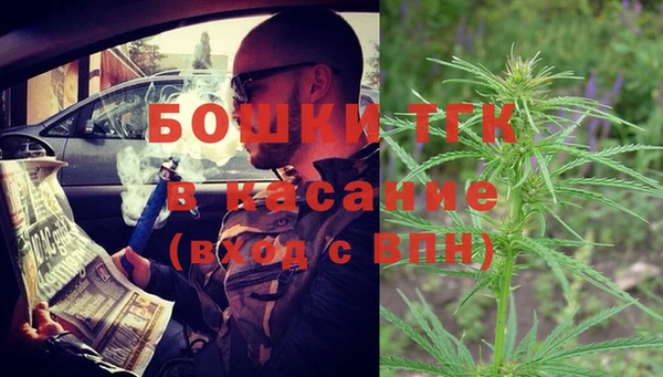 экстази Арсеньев