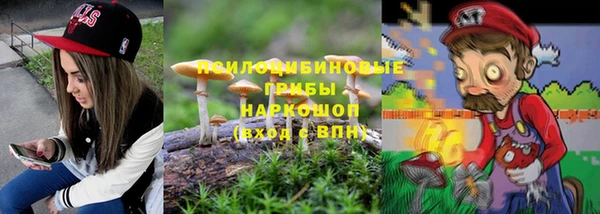 эйфоретик Аркадак