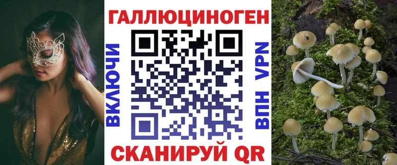 наркотики  Морозовск  Псилоцибиновые грибы Magic Shrooms 
